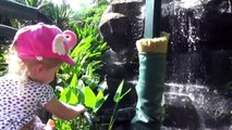 ВЛОГ Кукла беби бон в Парке Юрского Периода в огромном бассейне с волнами Видео для детей baby doll