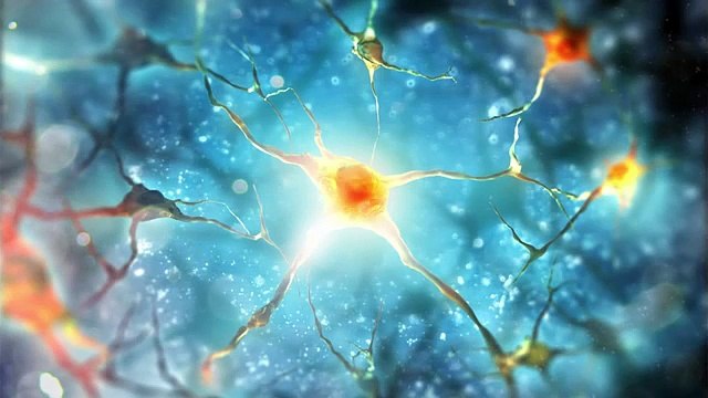 Black Coffee Benefits: 9 Proven Health Benefits of Drinking Black Coffee Daily