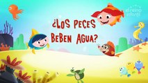 El Mundo de Luna! - ¡Vamos Al Mar!   El Reino Series