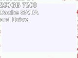 Seagate Barracuda ST3250410AS 250GB 7200 RPM 16MB Cache SATA 30Gbs Hard Drive