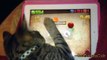 Cats Playing Fruit Ninja Compilation new [NEW]