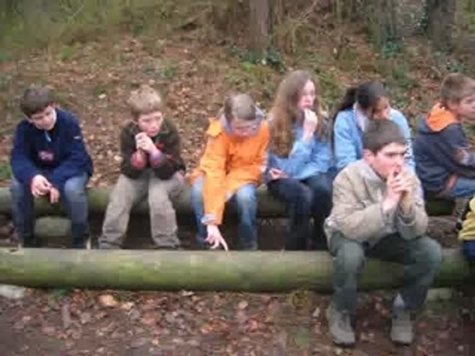 Weekend Scout