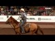5.6 Team Rangle Seth Hall and Victor Aros at Pike Peak or Bust Rodeo