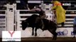Colten Gardner 80 Bull ride at Pike's Peak or Bust Rodeo