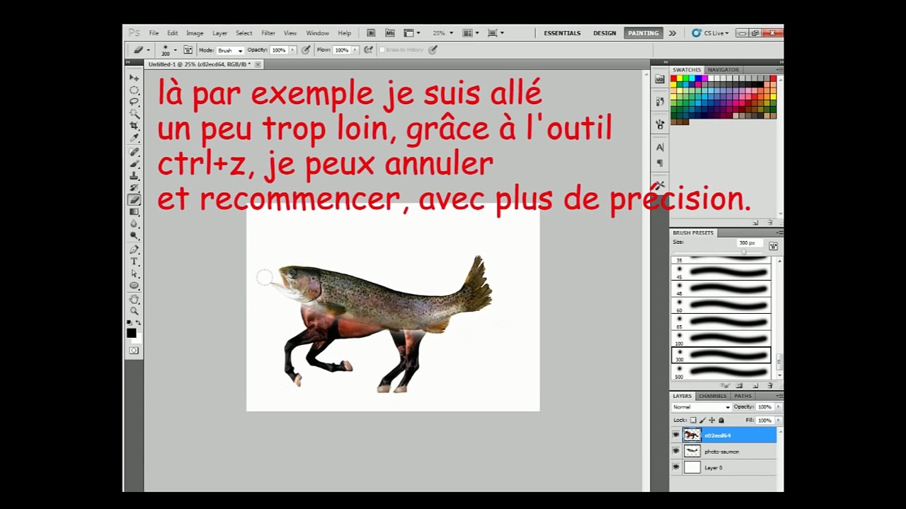 TUTO - Comment créer un cheval saumon sur Photoshop