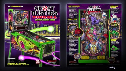 STERN PINBALL ARCADE " LIMITED EDITION " (221)