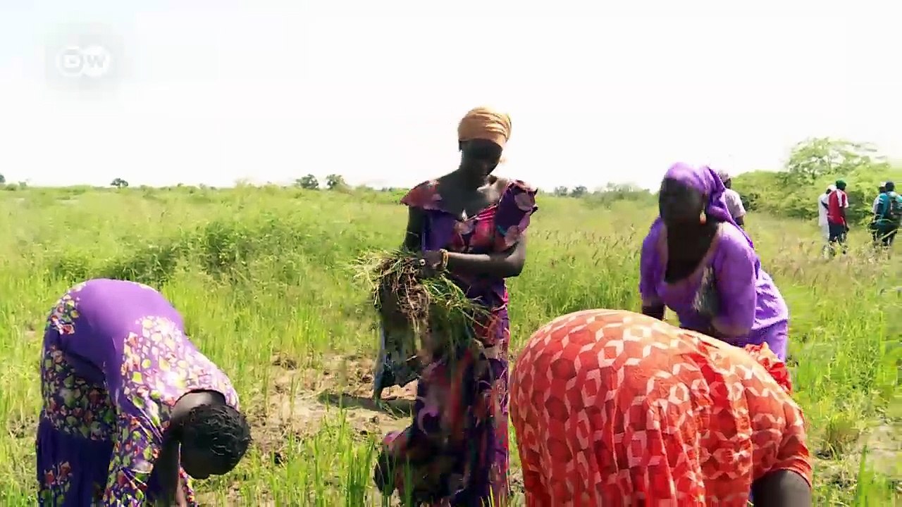 Mitbestimmung beim Klimaschutz in Senegal? | DW Deutsch