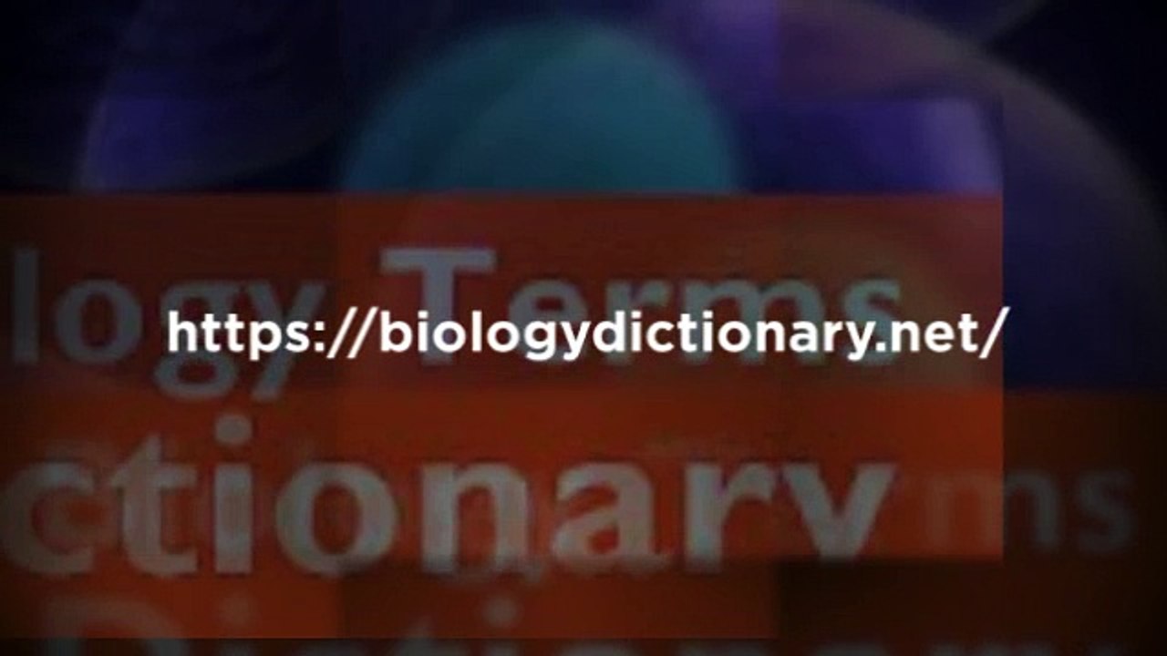 Biology Terms