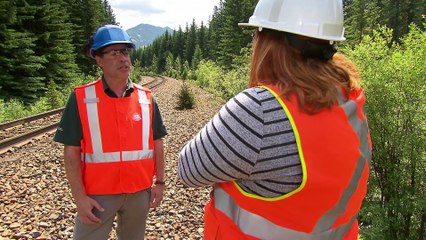 Grizzly bears threatened by trains in Banff