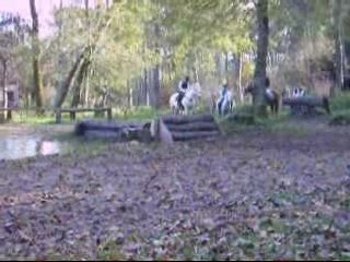 Castle cross moi et lucky