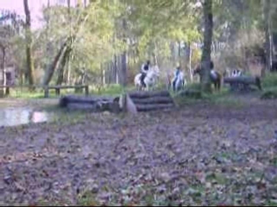 Castle cross moi et lucky