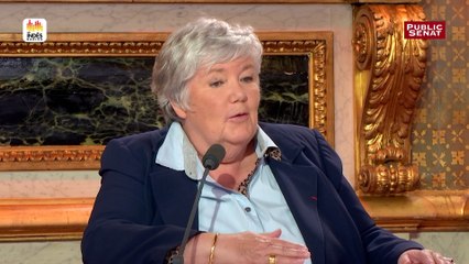 "Nous avons voté un vœu, celui d’être indépendant et qui était un vœu qui devait être constructif vis-à-vis de la majorité" (Gourault)