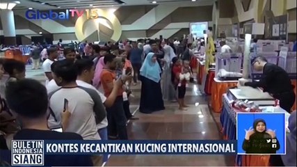 Kontes Kecantikan Kucing Internasional Digelar di Surabaya
