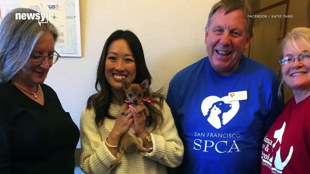 San Francisco pet stores can't sell non-rescues