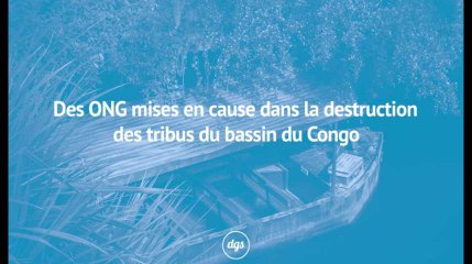 Des ONG mises en cause dans la destruction des tribus du bassin du Congo