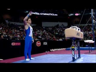 Benoit Caranobe - Pommel Horse - 2009 Tyson American Cup