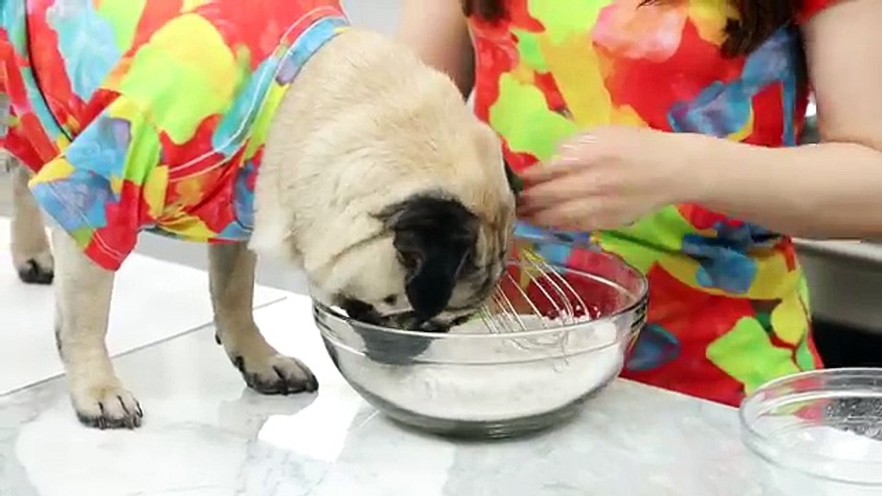 DIY PUG CUPCAKES w/ Doug the Pug!
