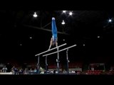 Joseph Hagerty - Parallel Bars - 2008 Visa Championships - Men - Day 2