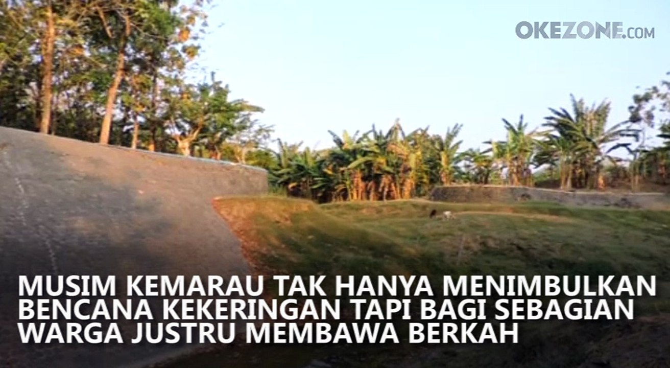 Berkah Kemarau, Warga Ciptakan Batu Bata Terbaik dari Lumpur Sungai