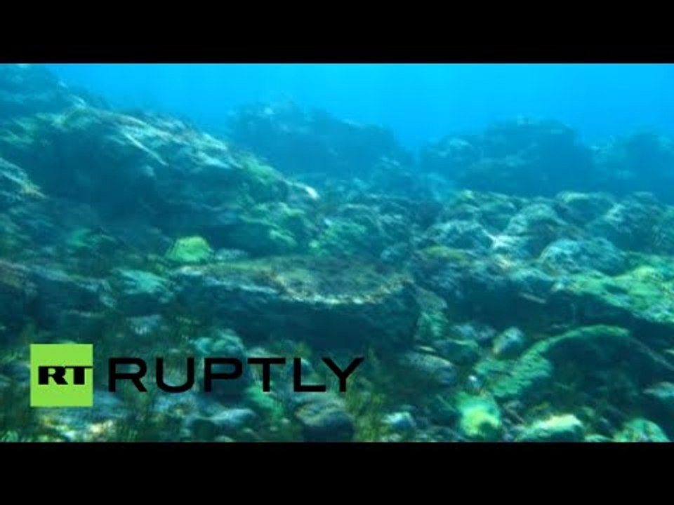 Baikal livecam: Camera installed at bottom of Earth’s deepest lake