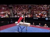 Raj Bhavsar - Pommel Horse - 2008 Olympic Trials - Day 1 - Men