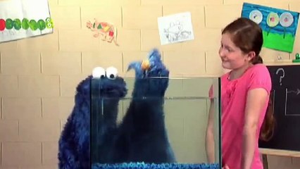 Sesame Street Sink or Float - Gameplay | games for children | Games For Kids