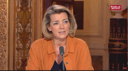 Le Sénat n’est pas un « contre-pouvoir » mais a un « rôle de modération » pour Anne Levade