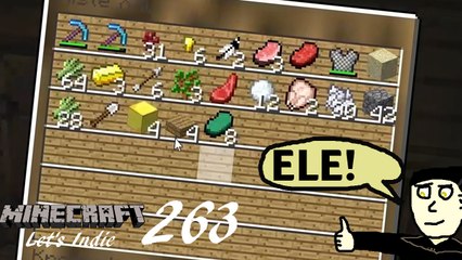 Minecraft Let's Indie 263: Ele's Unordnung