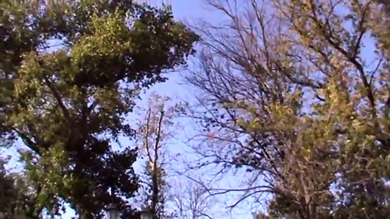 Мужик Геннадий Горин на берегу гуляет, река Ока, город Орёл