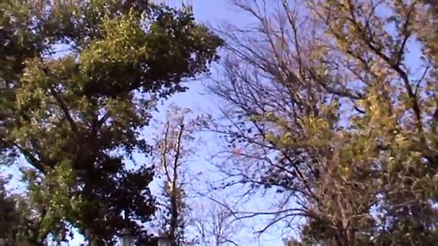 Мужик Геннадий Горин на берегу гуляет, река Ока, город Орёл