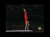 Flavius Koczi - Parallel Bars - 2008 Tyson American Cup