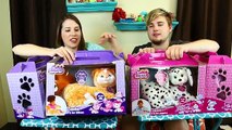 Puppy vs Kitty CHALLENGE Who can get the most BABY Cats & Dogs Game by DisneyCarToys