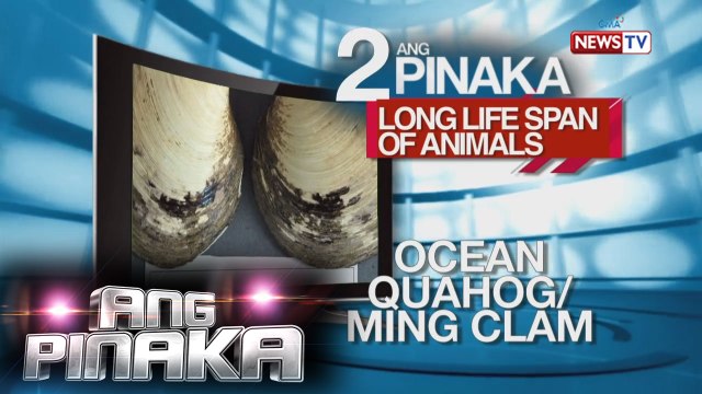 Ang Pinaka: Long life span of animals