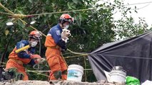 Perro sobrevivió 5 días bajo escombros de México
