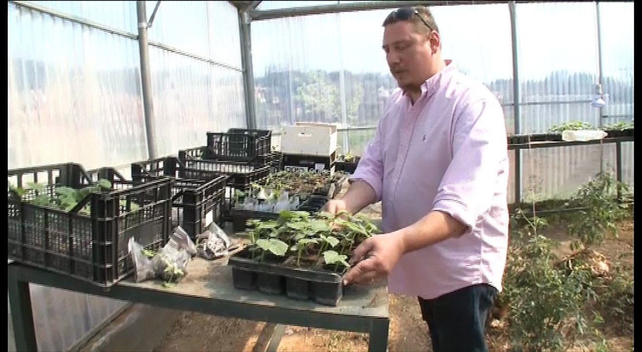 Προγράμματα για τους απόφοιτους των ΕΠΑΛ