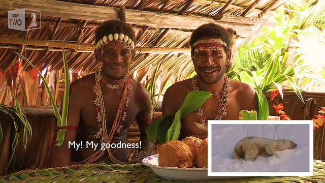 La réaction de tribus face à une vidéo d ours polaire... Incroyable