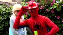 Frozen Elsa & Spiderman turns into MERMAIDS! w/ Hulk Pink Spidergirl & Spider Babies