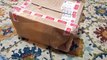 USPS Damaged Box! Box Opening! Full Body Silicone Baby Girl! Baby Born In A Box!