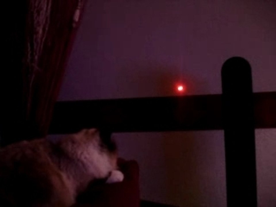 chat