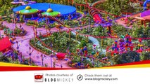 Slinky Dog Dash Rollercoaster Begins Testing at Disney's Hollywood Studios - Disney News - 9/24/17