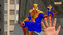 3D Spiderman Finger Family Nursery Rhymes | Learning Farm Animals Names | Superheroes Finger Family