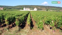 Découvrir la Bourgogne via la voie des Vignes