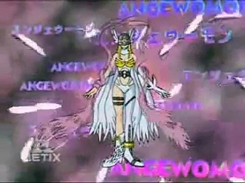 Kari makes Gatomon digivolve into Angewomon