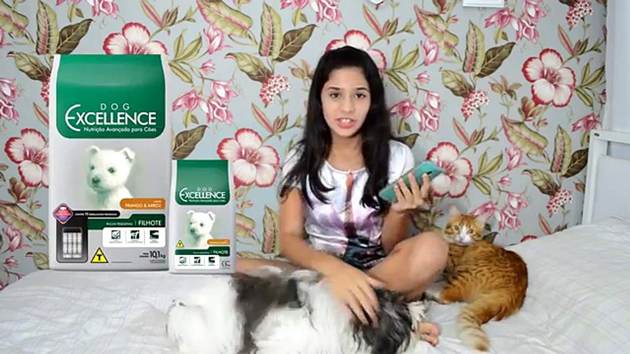 MEUS ANIMAIS DE ESTIMAÇÃO!