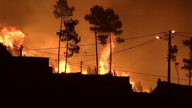 'Non agite sul clima? E noi vi facciamo causa per gli incendi'