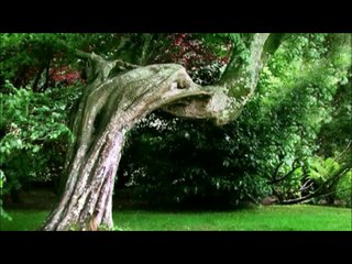 Montenegrin Converts to Islam in Montenegro