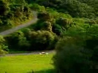 Pub qui fait peur !!!!