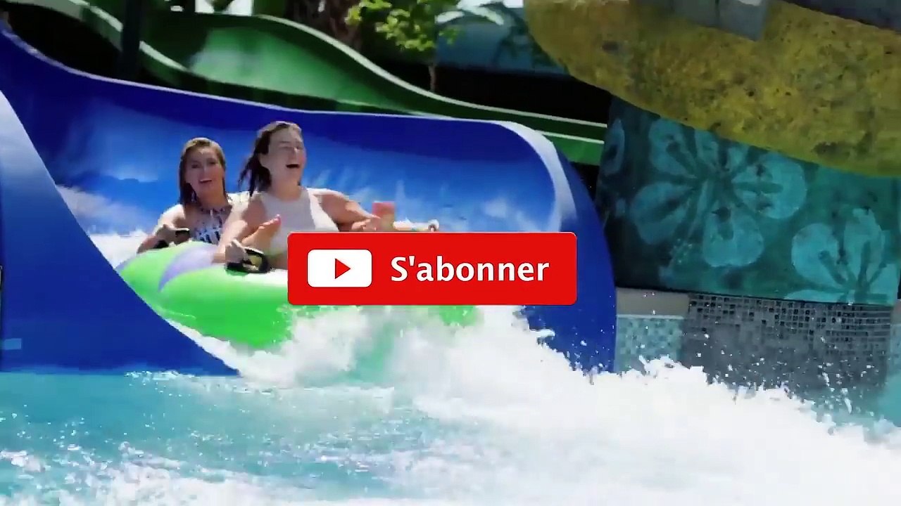 LES 10 RACES DE CHIENS LES PLUS DANGEREUSES DU MONDE - Lama Faché