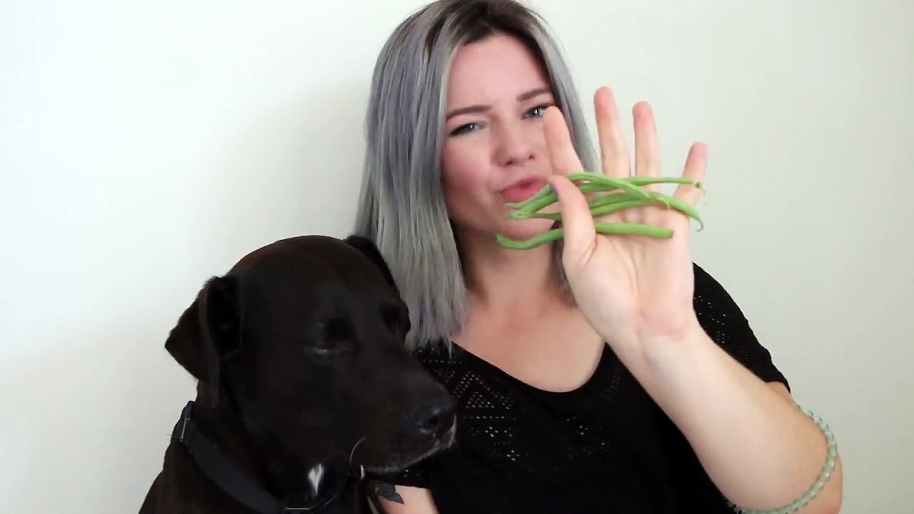 MON CHIEN GOÛTE DES FRUITS ET LÉGUMES #2