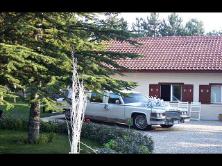 gelin arabamız, kiralık ,limuzin ,klasik arac,ankara vip kiralama